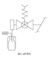 Liquid samplers (HD Series) - B1 - TYPICAL P & ID